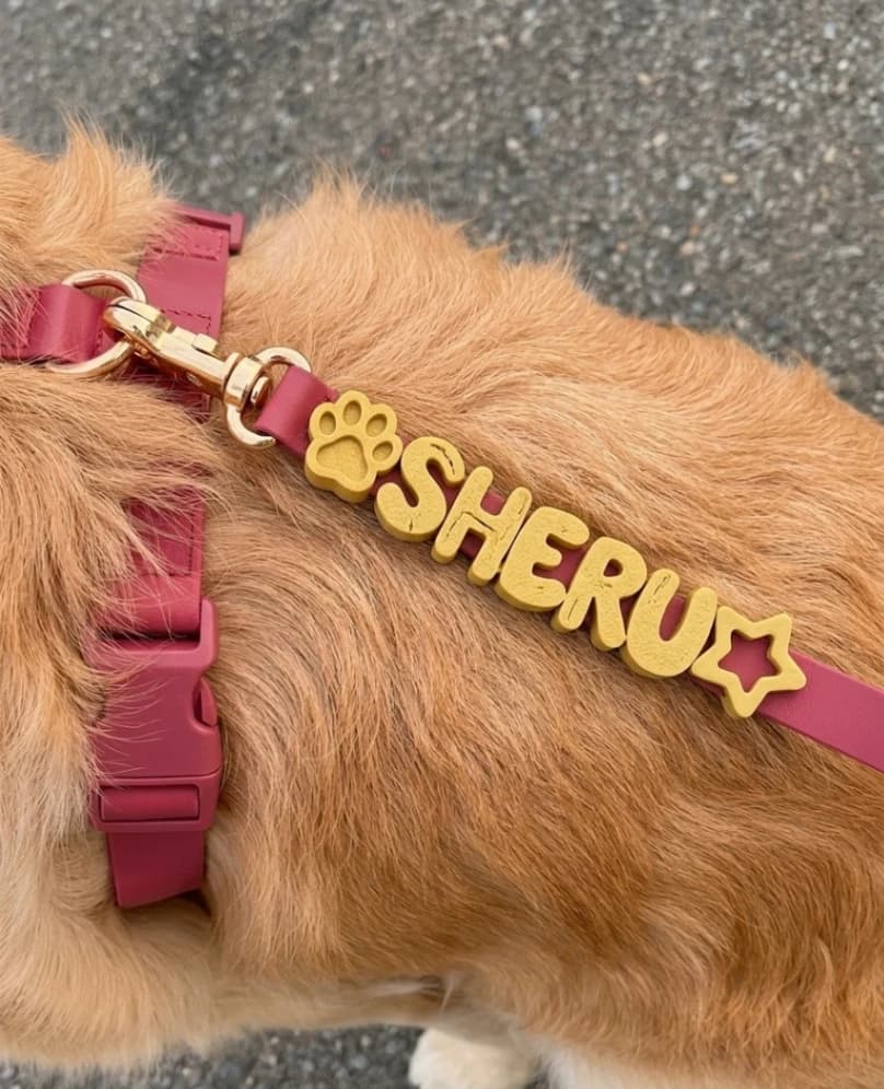 Custom Dog Collar with Name | Pink Harness & Leash with 3D Name Letters